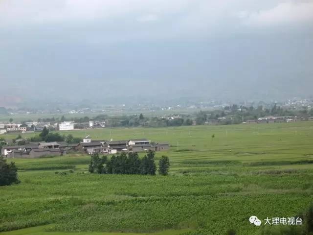 县力角镇中营村 大理州宾川县平川镇盘古村 大理州弥渡县寅街镇朵祜村