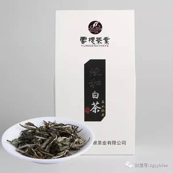 茶叶榜丨政和白茶(香气清甜,综评8.4分,茶语评8.4分)