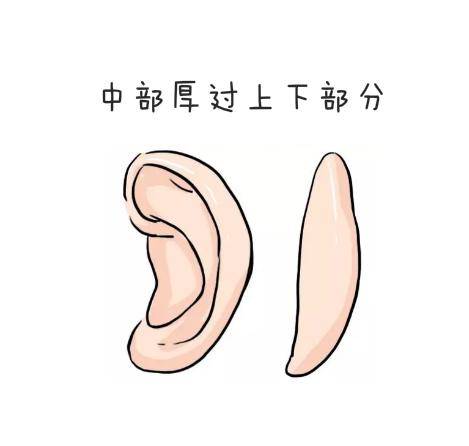 【易吉风水阁】:从你的耳朵形状看出你的能力