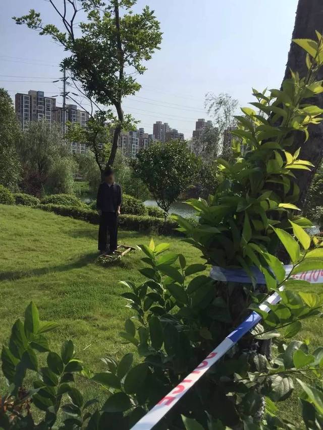 震惊!今晨水岸星城小区一男子绿化树上疑似上吊身亡
