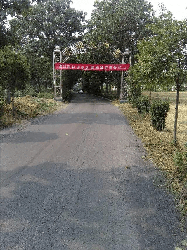 朴质的农村村口,道路还是柏油路