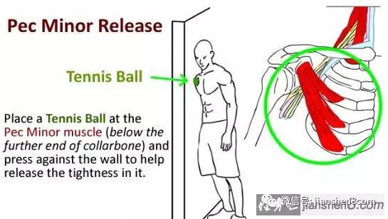 放松胸小肌:改善圆肩驼背