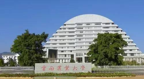 2 (云南农业大学主教学楼) no.3 (河北白洋淀荷花大观园金鳌馆)