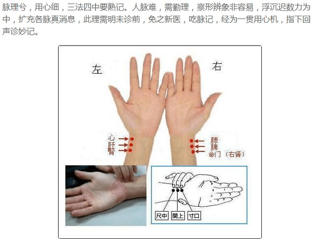 普通人都能学会的中医基础,看图学把脉吧