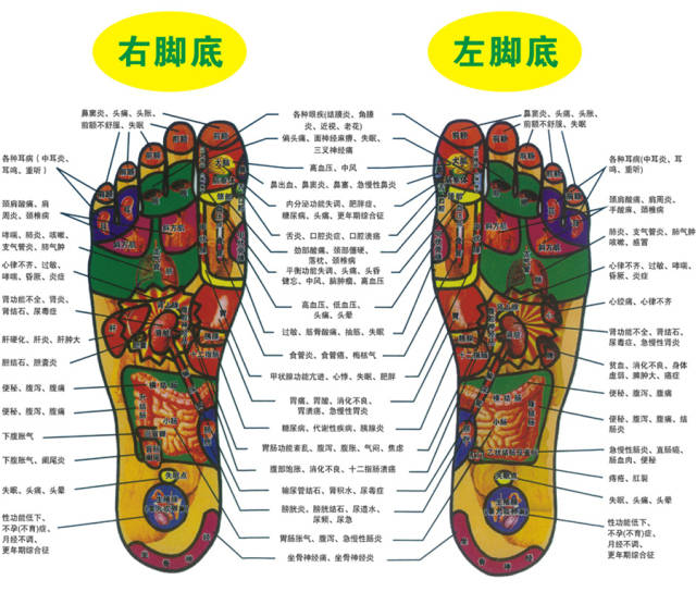 足底按摩能治什么病?4000 年前就有人试过了,4000 年后