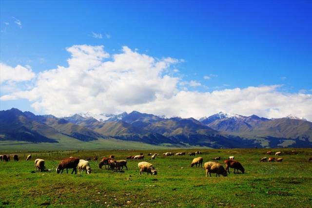 伊犁州多少人口_伊犁州地图(2)