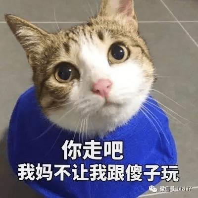 可爱猫咪表情包搞笑文字头像 ps:原版高清无水印版请 微信公众号搜索