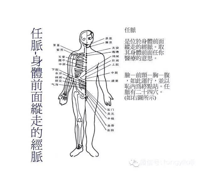 太极拳与人体经络的关系