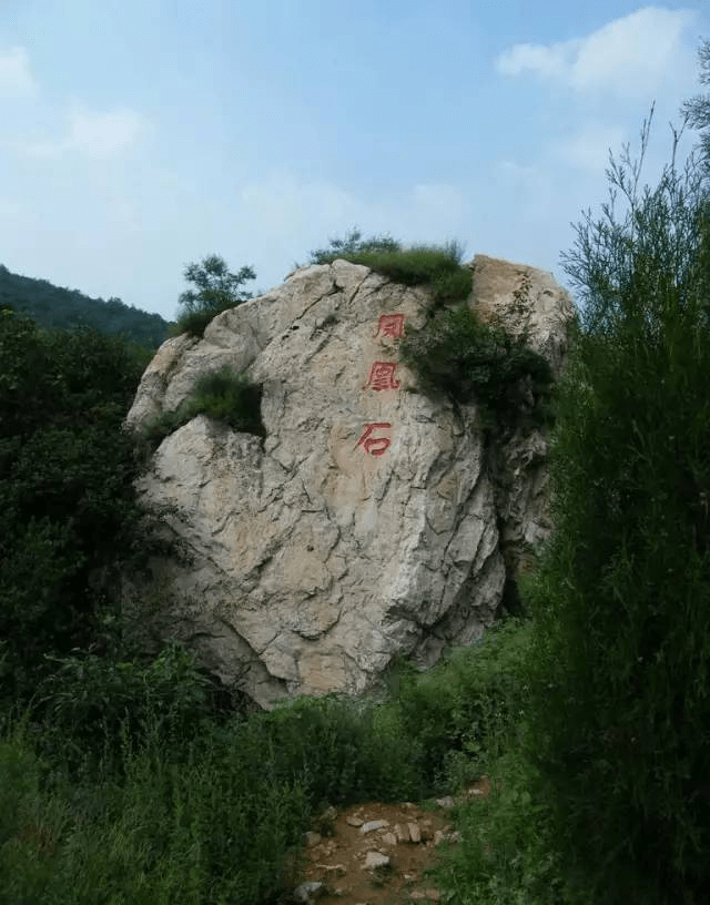 二老爹娘早年去世后,孤身一人靠种地拾柴糊口度日.