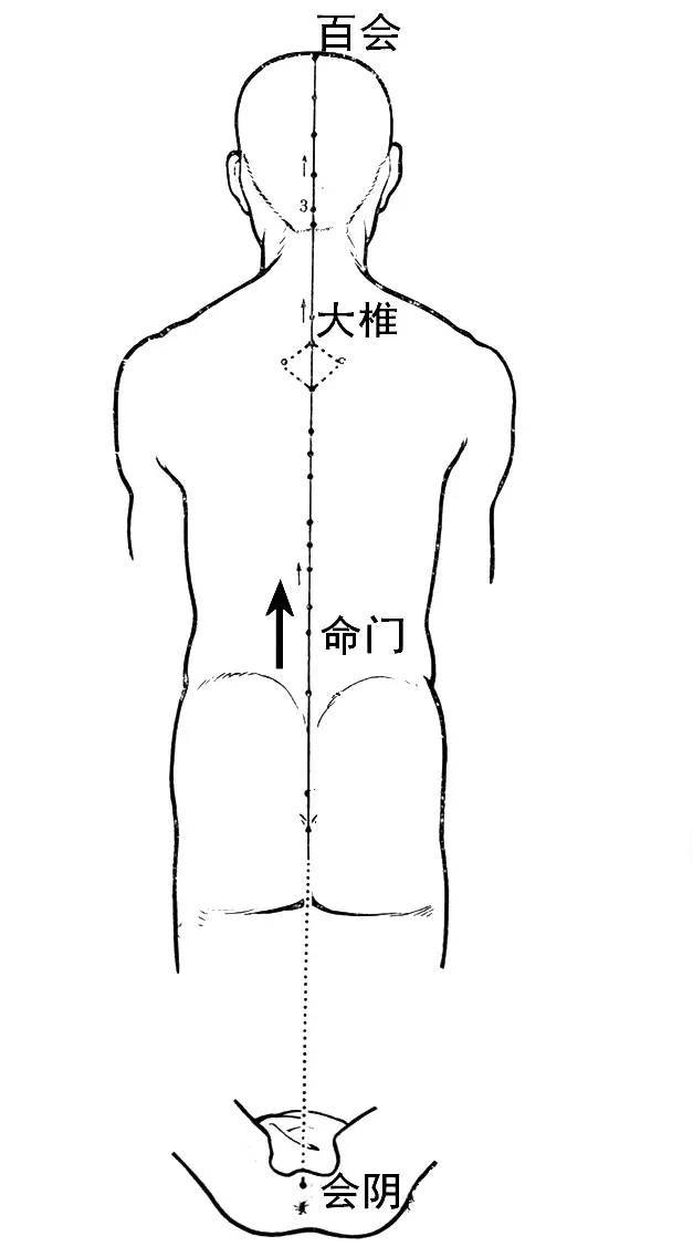 督脉与健身气功