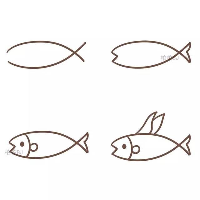 各种各样的鱼【柏柏简笔画】