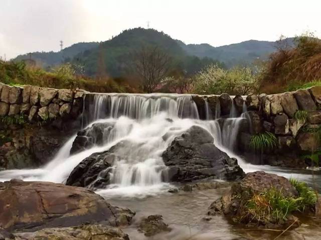 礼张村位于浙中的浦江县,享有"书画第一村"美誉,礼张村群山环抱,钟灵