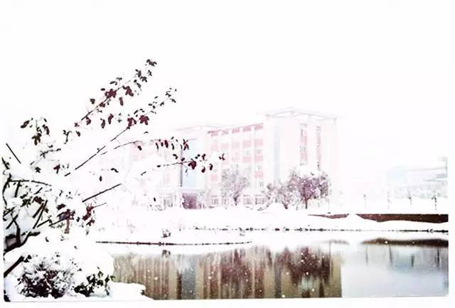 曲靖师范学院,谢谢你!