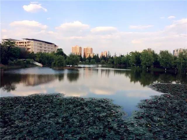 曲靖师范学院,谢谢你!