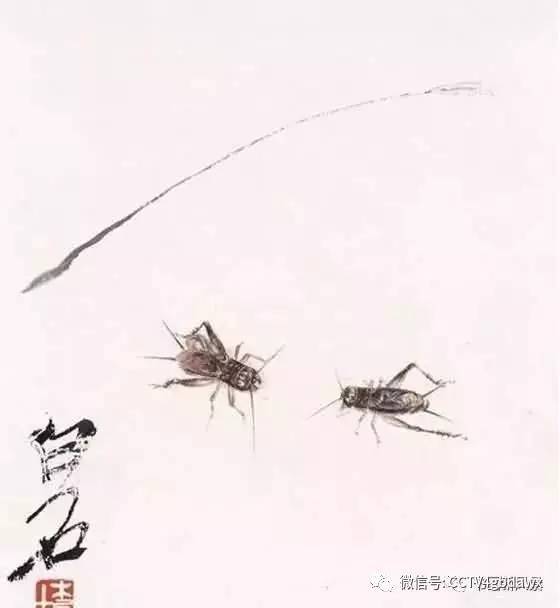 齐白石问娄师白:你数过螳螂翅上的细筋有多少根吗?