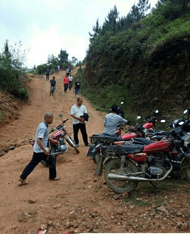 灵山新圩那东八队马胎山林的民事纠纷