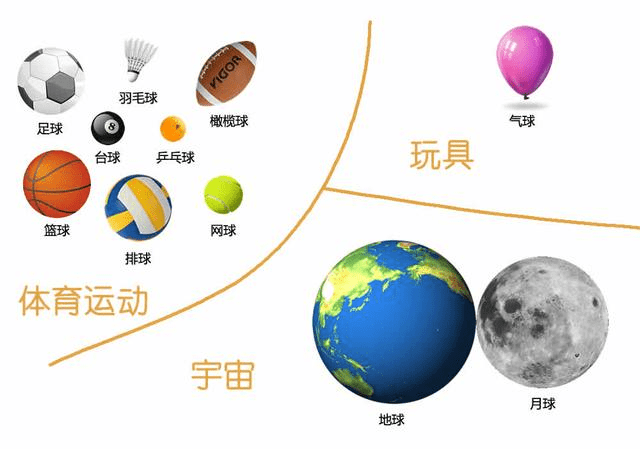 思维导图训练-球的分类