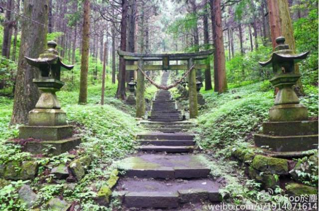 日本神社 青春是萤火绚丽的流动银河