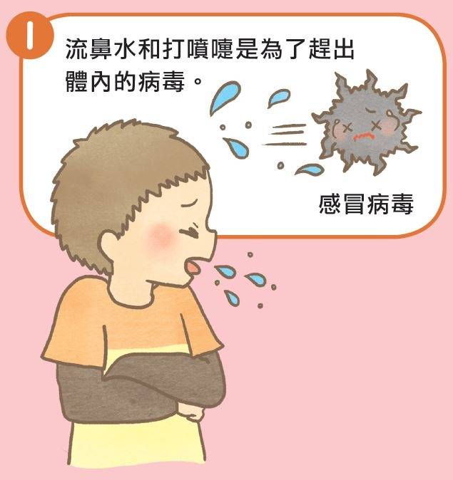 四张图,带你搞懂为什么感冒的时候会发烧