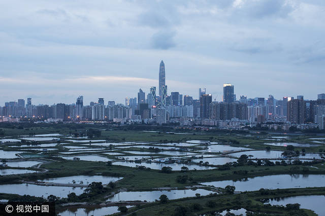 高楼平地起:从香港看深圳(组图)