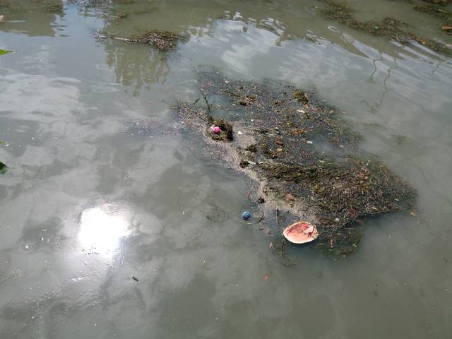 四川省成都市府南河石牛堰段,三名河道清理工身穿防水裤.