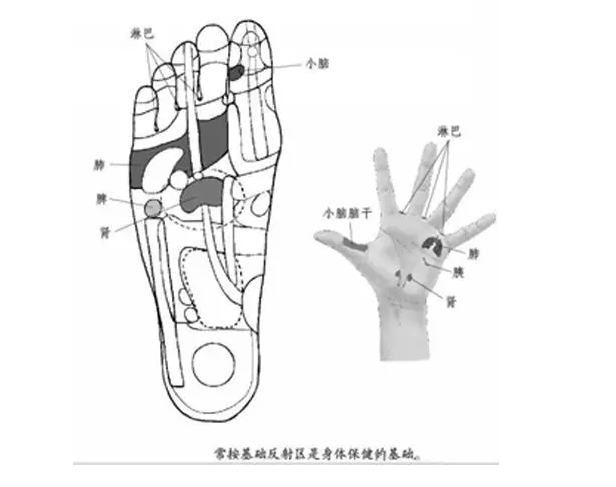 常见疾病按摩法,史上最全图纸教程