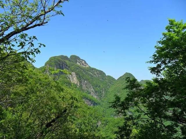 河南境内的这9座山峰个个山势险峻,峰峦秀美,你征服过