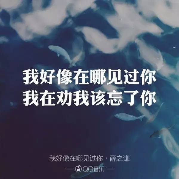 前几天,答应给你们的薛之谦的歌"每一句歌词都是一个故事,唱给有心的