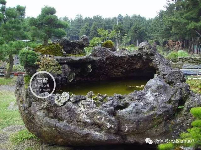 海边的天然火山岩景观