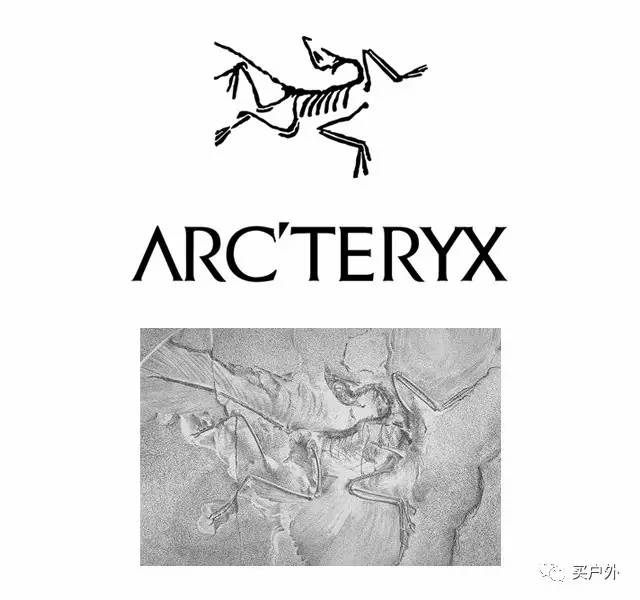 arc"teryx│加拿大│始祖鸟