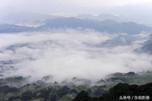 贵州:遵义市革命老区桐梓县尧龙山镇雨后云海如仙境,避暑好地方.