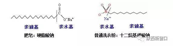 洗涤剂的主要成分是表面活性剂,表面活性剂是分子结构中含有亲水基和