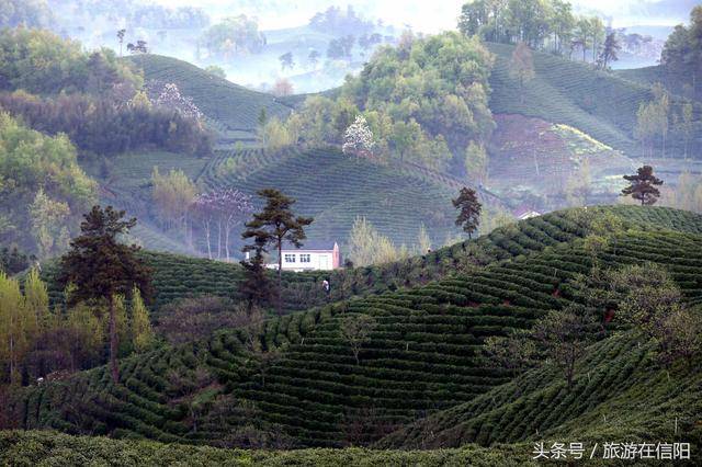 信阳新增四家3a级旅游景区浉河一家新县三家