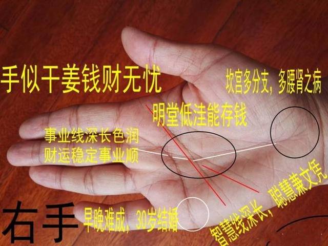 5,掌厚肉多,手软如棉,事业线深长,元宝纹出现,钱财无忧,明财暗财一