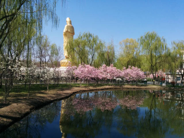 景区介绍:古塔公园位于北京市朝阳区东南部王四营地区境内,占地面积