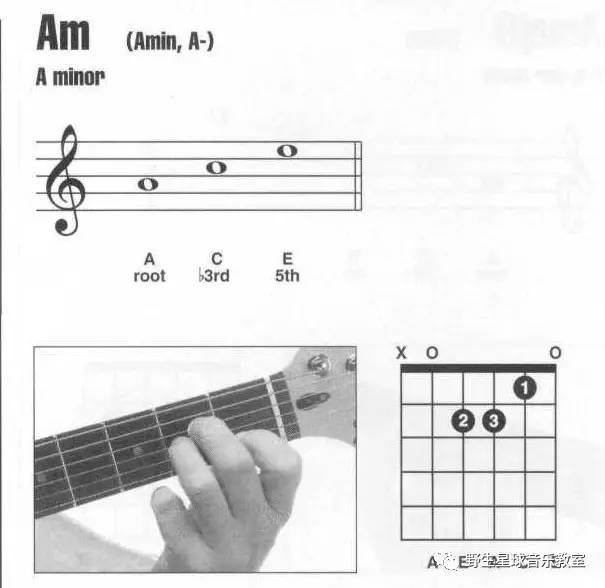 【每天一和弦】Am和弦和它的五种按法