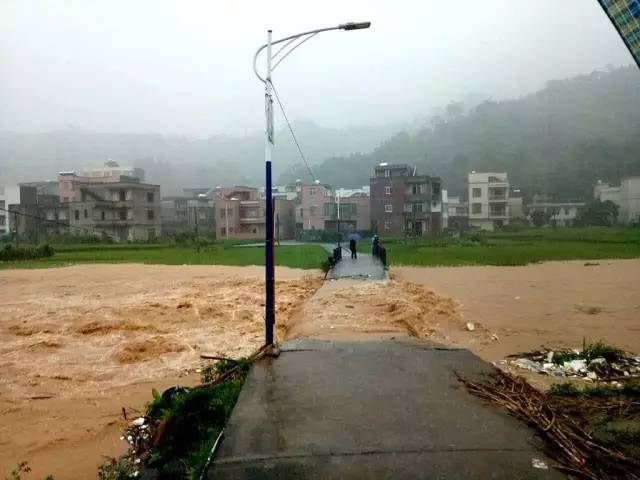 22强降雨,信宜池洞受灾严重!