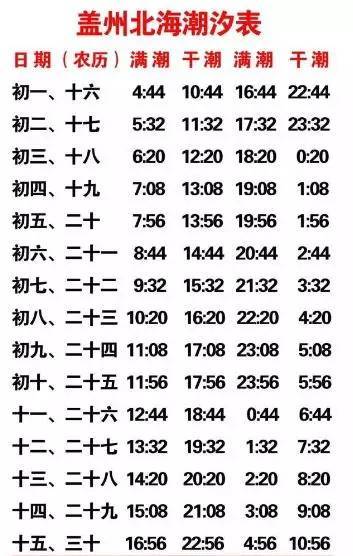 营口人赶海挖蛏子攻略【附潮汐表】