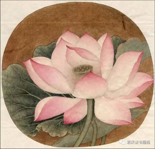 【学画】临宋画出水芙蓉, 国画荷花和露珠设色步骤