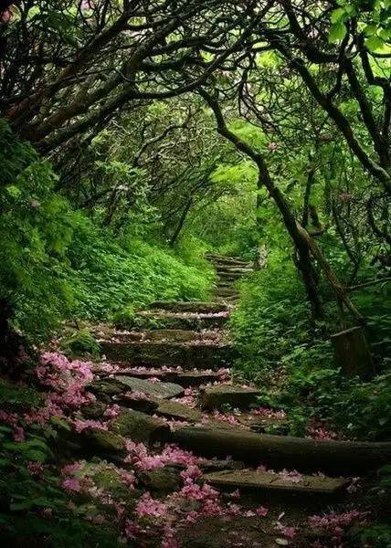 梁实秋:在半山腰的破屋听雨是一种什么体验