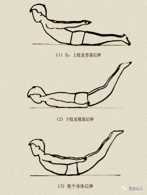 昆骨专家:简单易学手的5种腰部锻炼方法,缓解腰痛效果