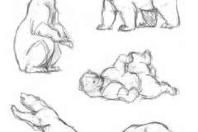 北极熊绘画手稿