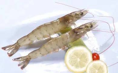鱼虾类富含蛋白质与各种氨基酸,不仅人类喜欢,鱼虾也是腐败菌等细菌