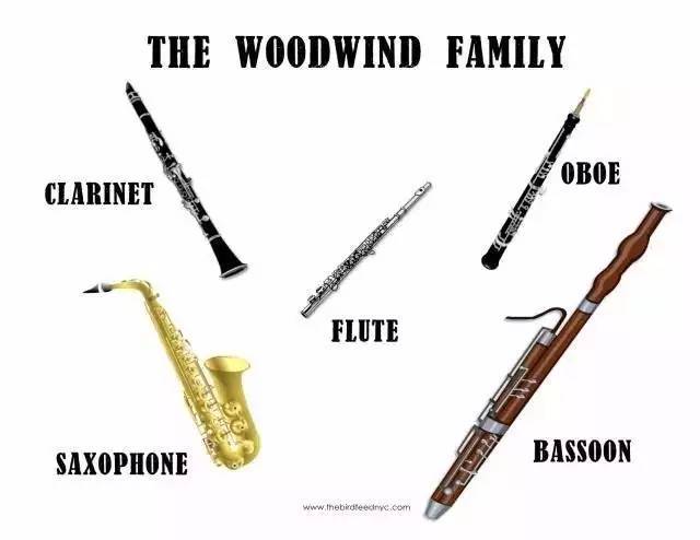 《彼得与狼》片段 双簧管是 木管乐中最难演奏的乐器 双簧管和单簧管