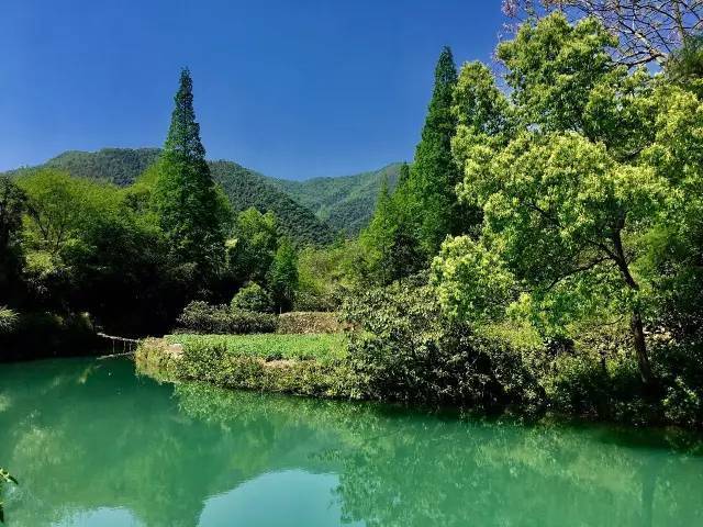 我走过象山最美的路,是泗洲头的"花路"~【天气&影讯】