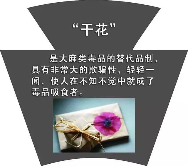 (二)合成毒品:氟硝安定,三唑仑,安纳咖,沙菲片,止咳水,咖啡因,摇头丸