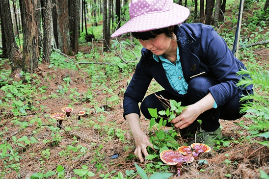 "掘金"绿水青山(图)