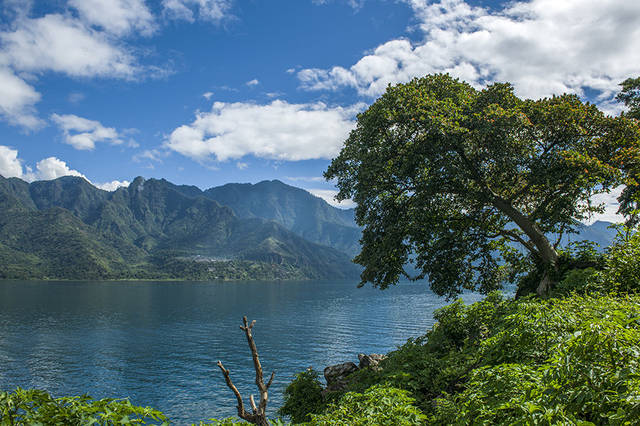 尼加拉瓜湖岸绿树成荫,许多红顶凉亭点缀其间,湖水湛蓝,湖风习习,水鸟