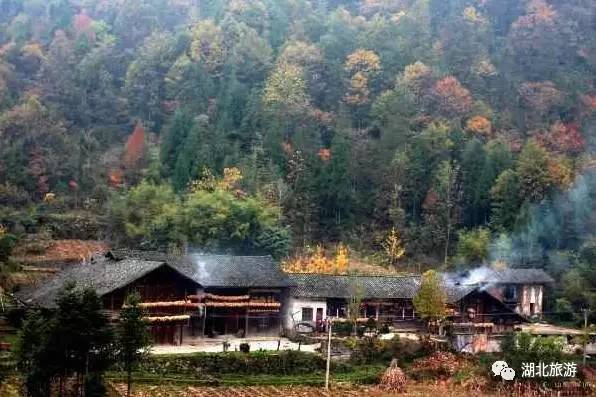 恩施州建始县龙坪乡店子坪村