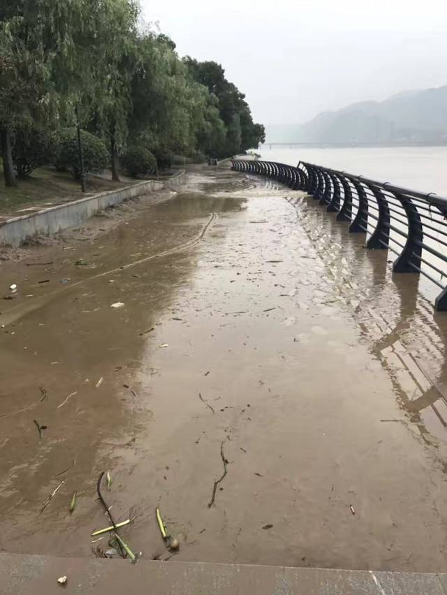 洪水过后的公园让桐庐人心疼,新一轮降雨又来了